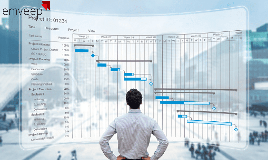 Project manager tasks emveep